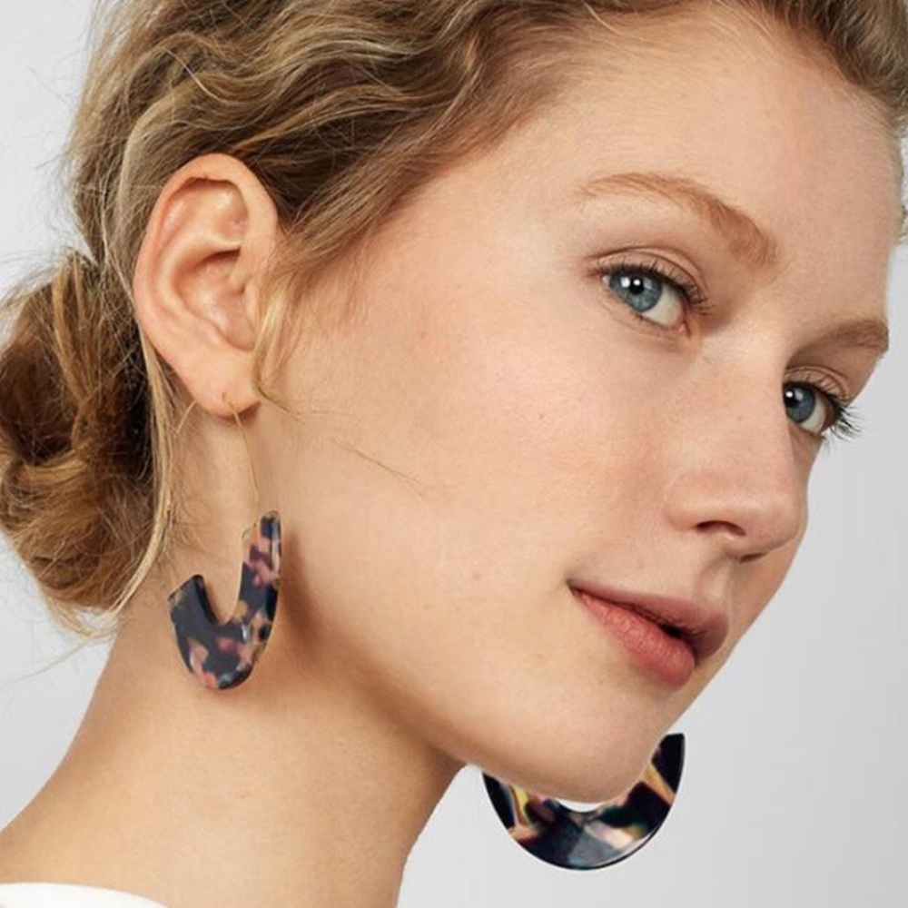 🎉HP🎉 NWT U-Shaped Fashion Earrings